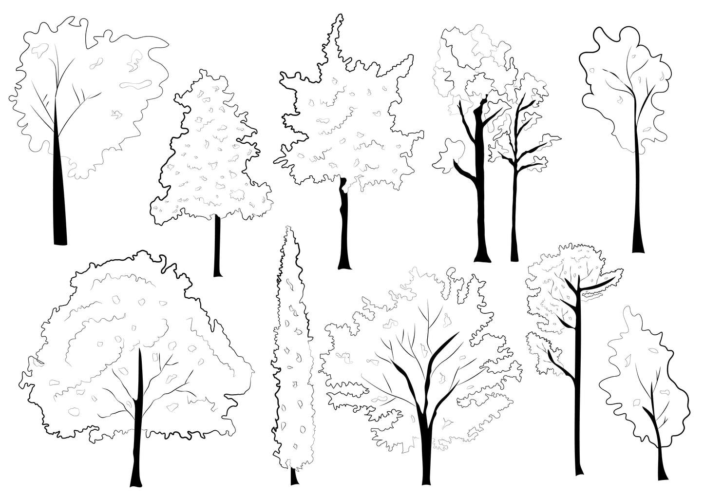 Flat vector sketchy trees